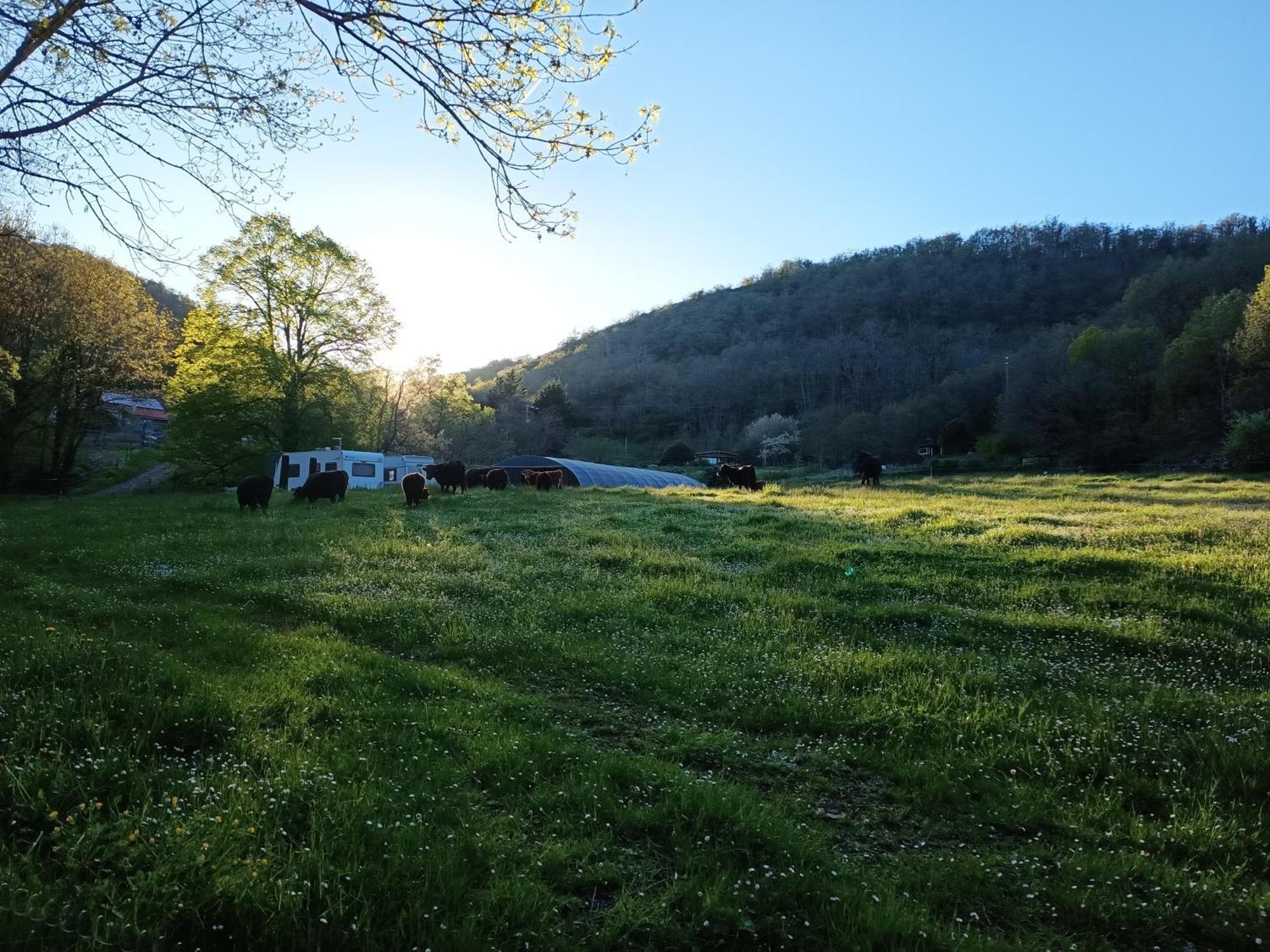 Ferme Les Therondels Saint-Pons-de-Thomieres Экстерьер фото
